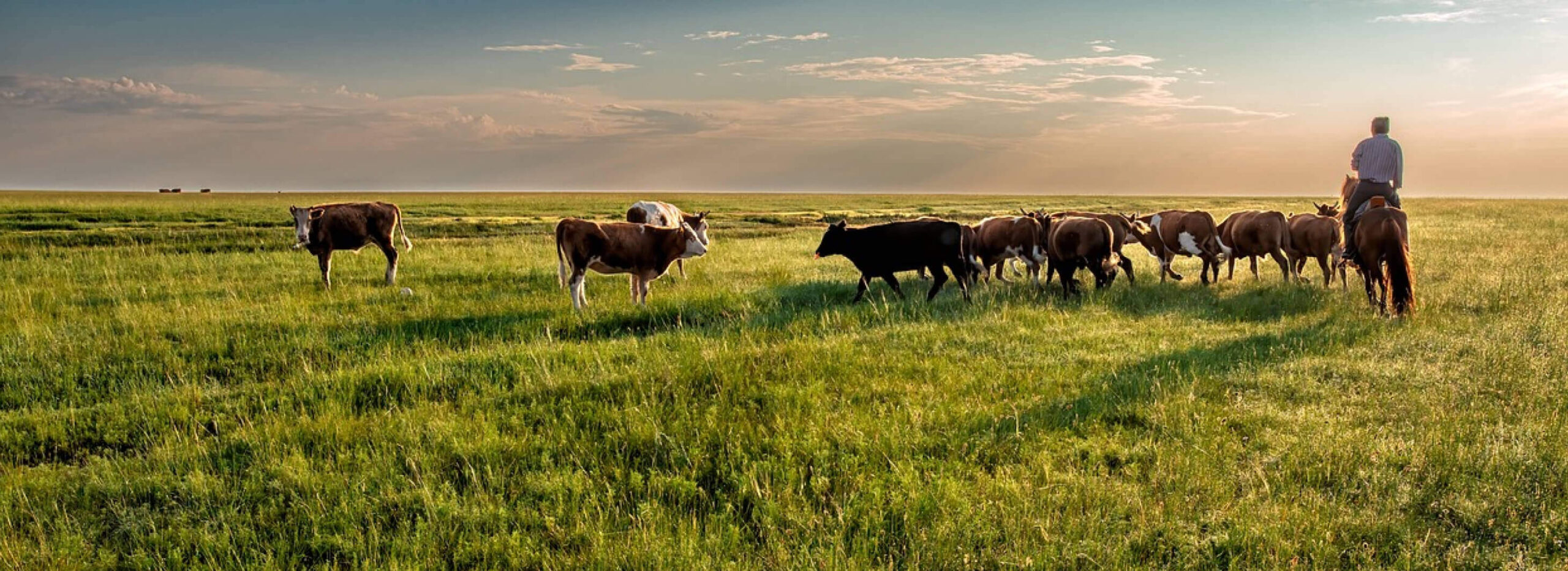 Denali Animal Feed Waste Disposal and Recycling