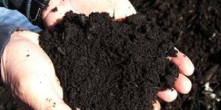WeCare Compost