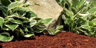 Hemlock Mulch