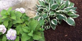 Northwoods Mulch