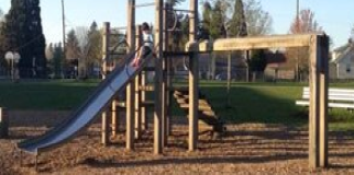 Playground Mulch