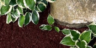 Ultra Brown Mulch
