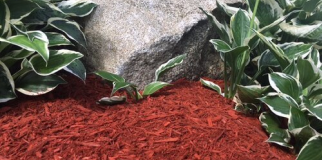 Brick Red Mulch