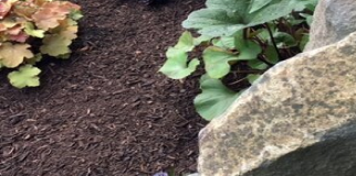 GreenPeet Mulch